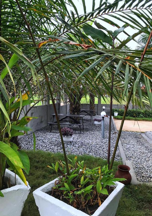 推特天堂住宿加早餐旅馆 Ampeni 外观 照片