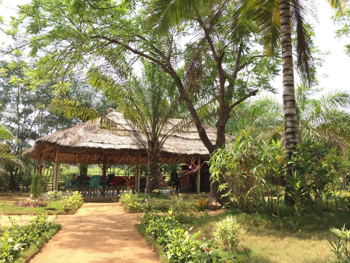 推特天堂住宿加早餐旅馆 Ampeni 外观 照片